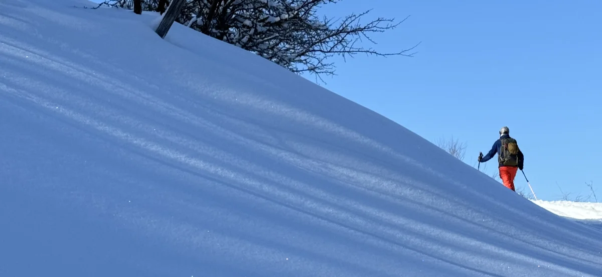 backing country skiing shah dezh