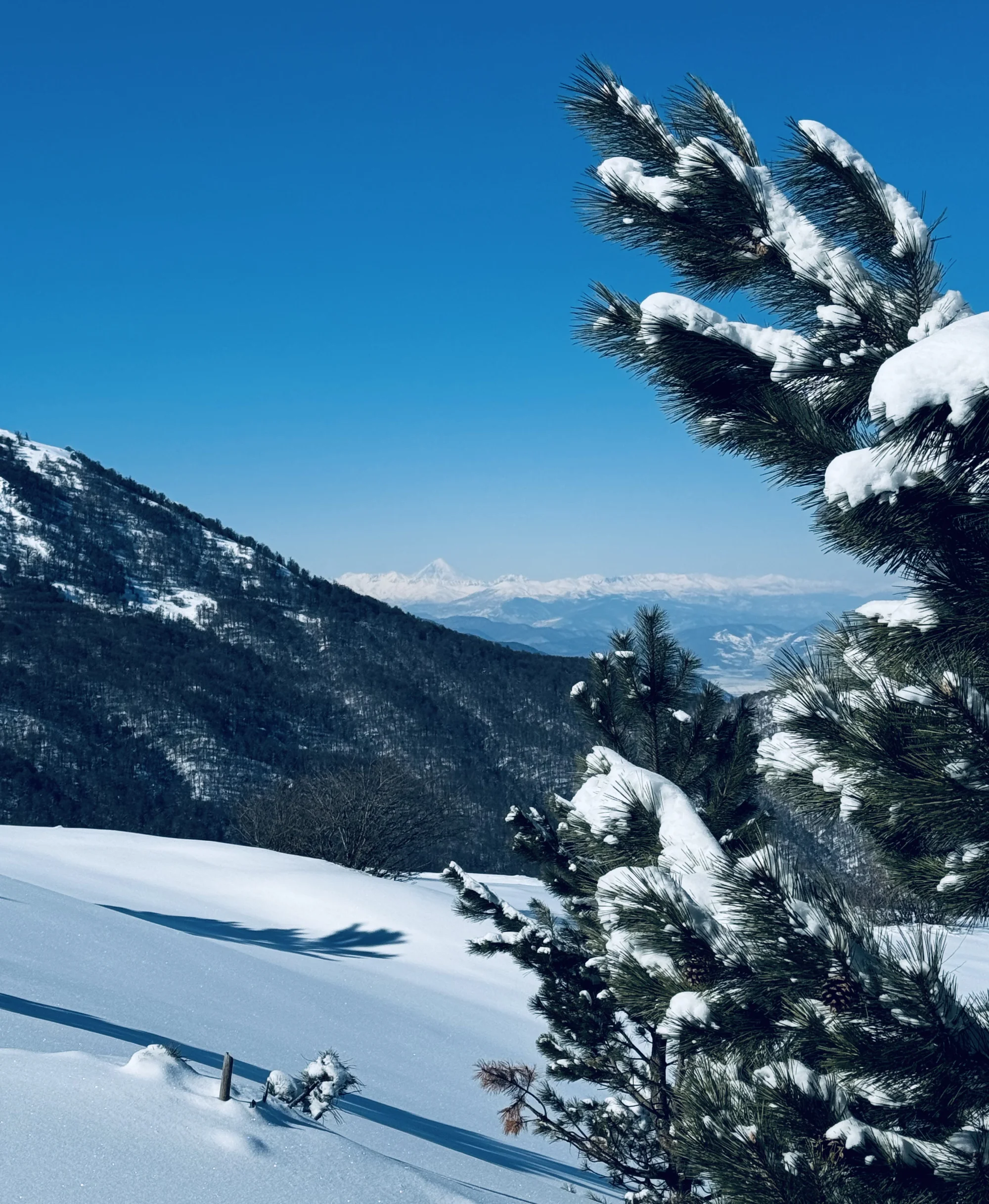 damavand view from shah-dezh