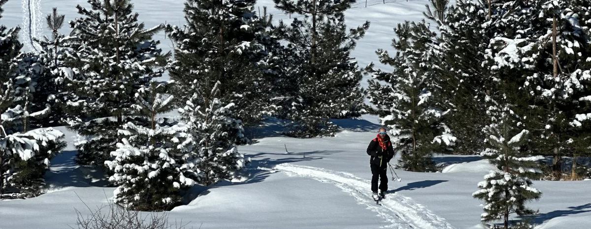 Iran forest ski destination