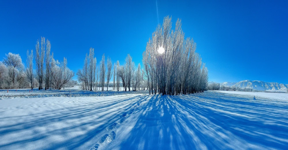 Chelgerd ski touring